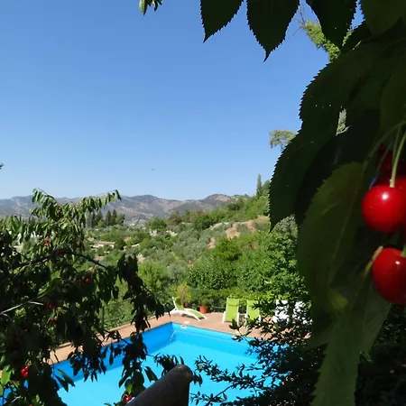 Апарт-отель Arroyo Parrilla