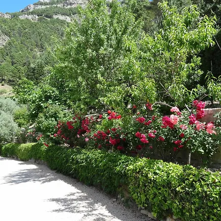 Апарт-отель Arroyo Parrilla Ла-Ируэла
