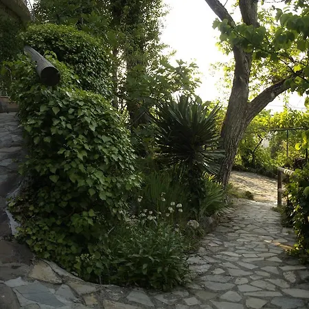 شقة فندقية Arroyo Parrilla لا إرويلا