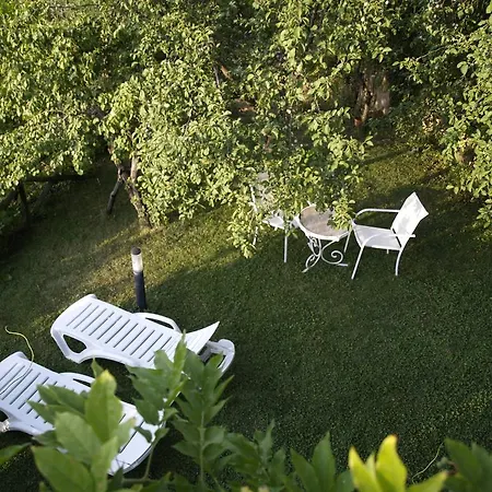 Arroyo Parrilla لا إرويلا