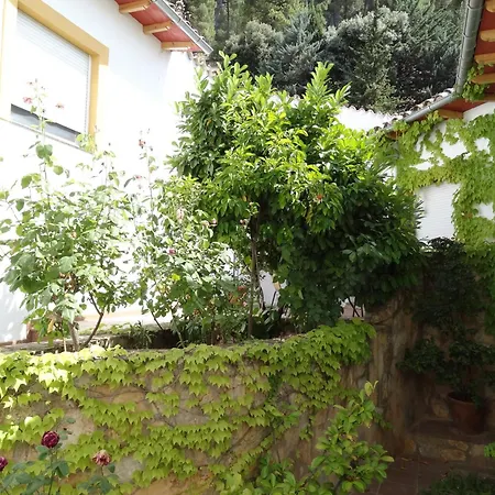 شقة فندقية Arroyo Parrilla لا إرويلا